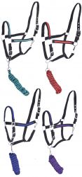 Full Size adjustable nylon halter with 10ft lead